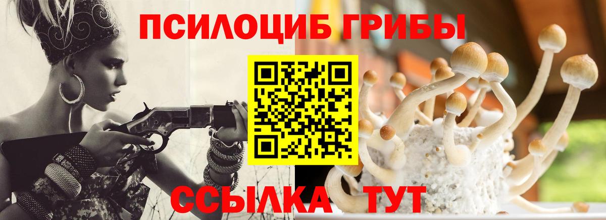 Ангарск  Галлюциногенные грибы ЛСД  Псилоцибиновые грибы Psilocybe  Вход с VPN 